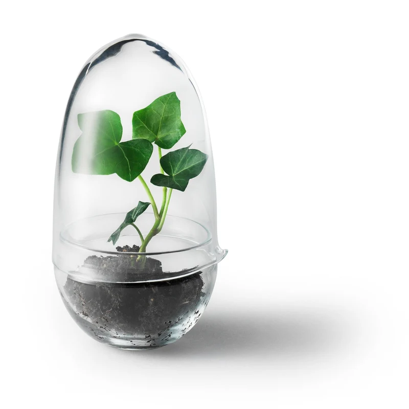 Design House Stockholm Grow Mini Greenhouse