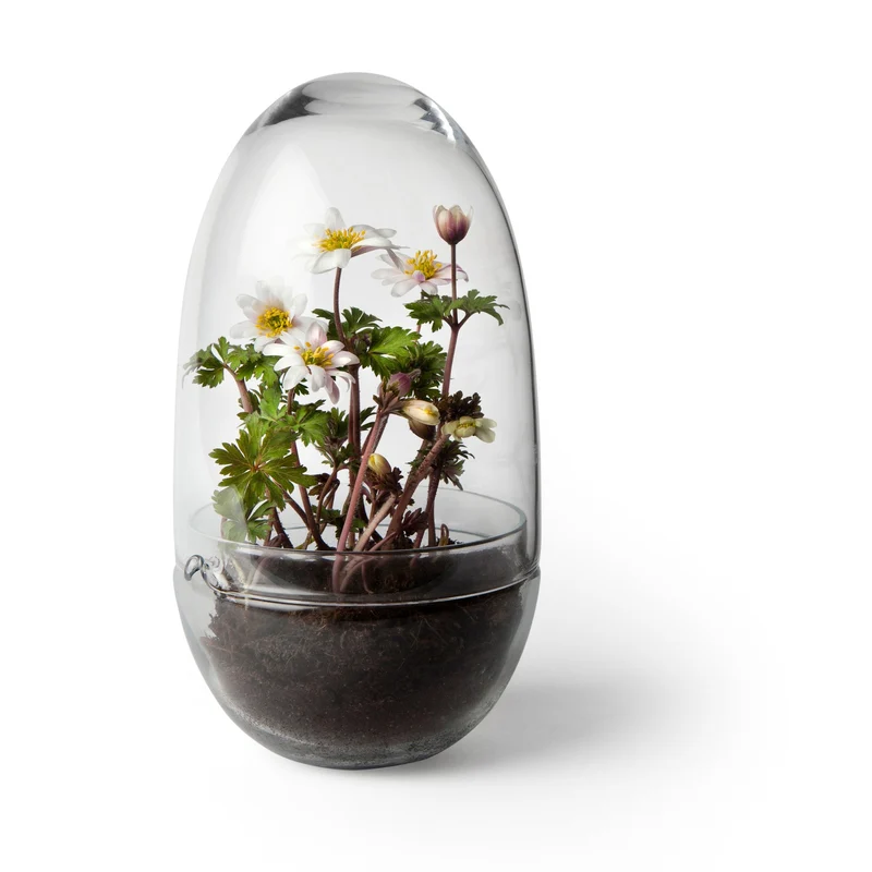Design House Stockholm Grow Mini Greenhouse