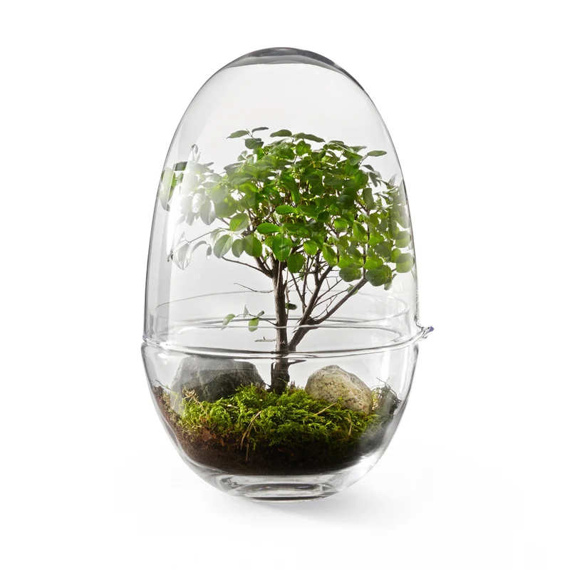 Design House Stockholm Grow Mini Greenhouse