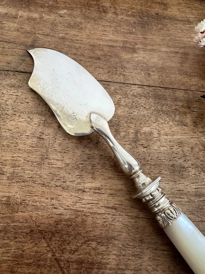 Cuillère de service manches en nacre et métal argenté