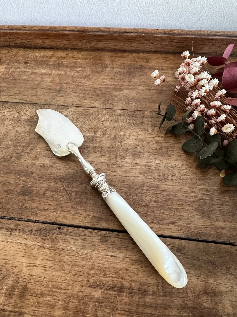 Cuillère de service manches en nacre et métal argenté