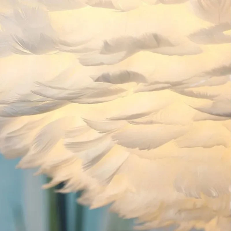 Suspension Frange en Plumes Colorées – Ambiance Feutrée et Douce