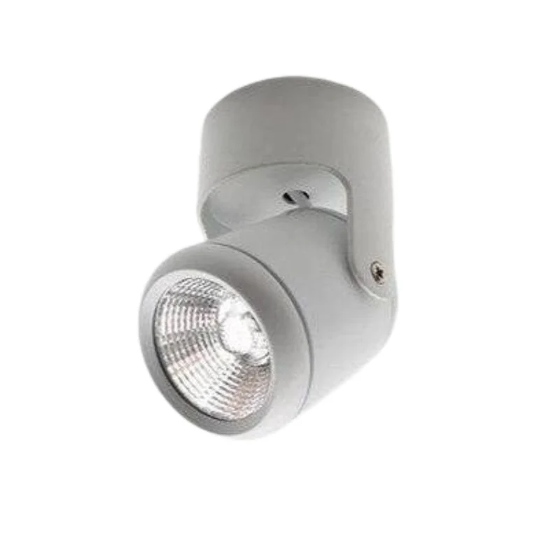 Spot LED Plafond Tube Long Couleur – Orientable, Salon Couloir