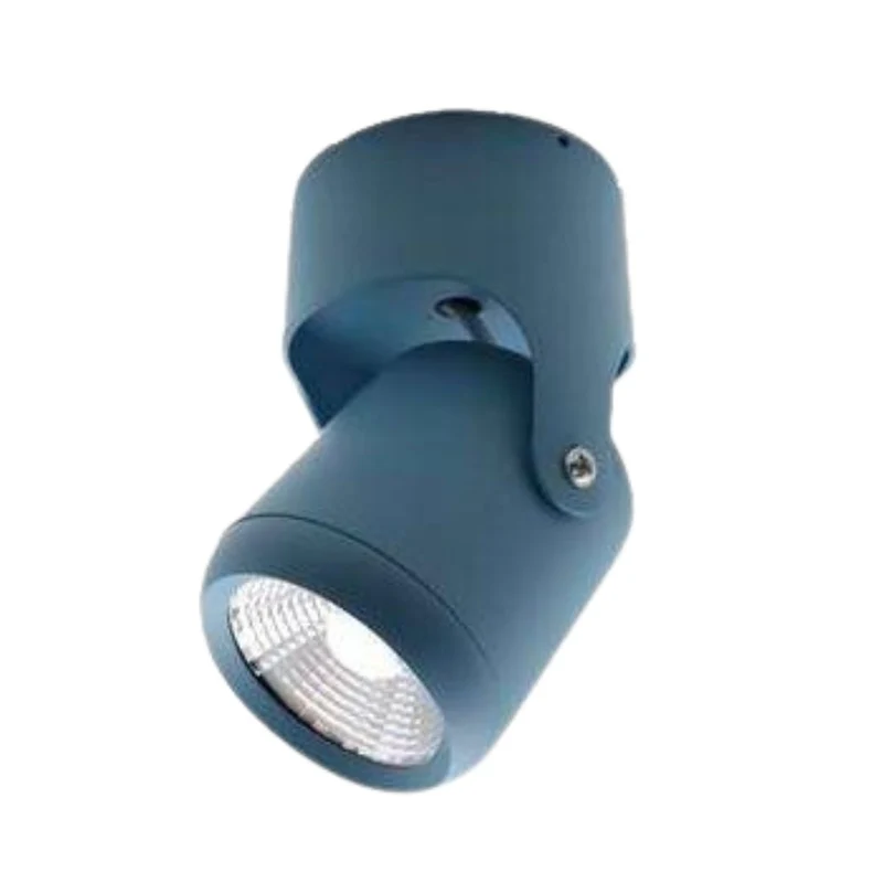 Spot LED Plafond Tube Long Couleur – Orientable, Salon Couloir