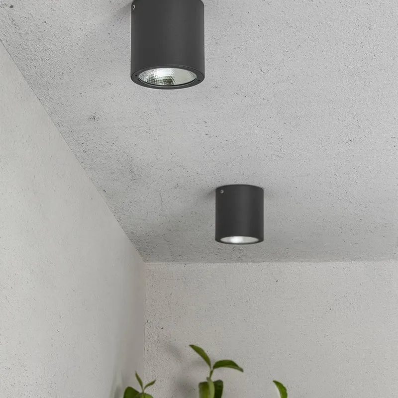 Faro Goz Ceiling Lamp