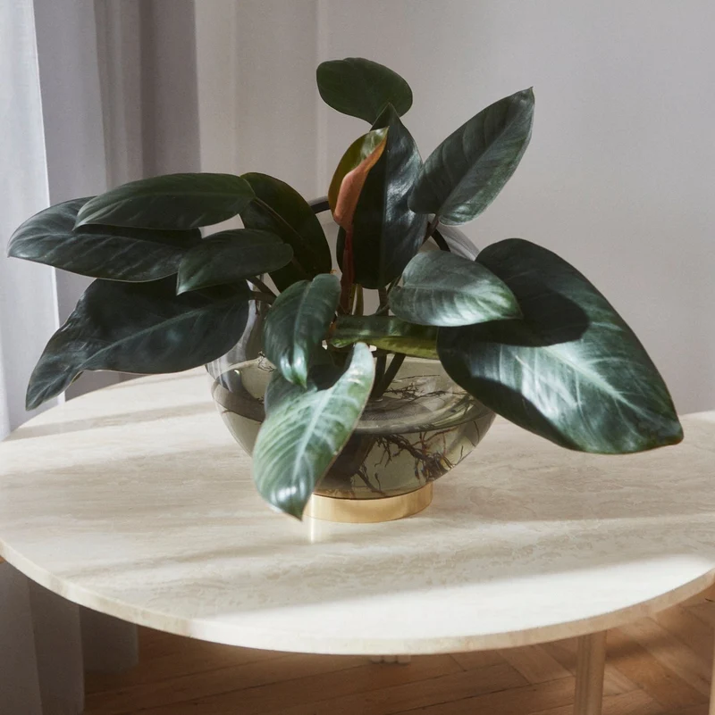 AYTM Globe Vase