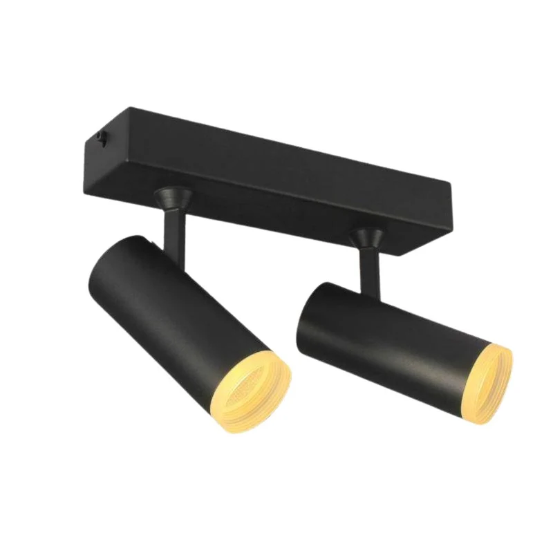 Plafonnier 2 Spots Blanc ou Noir – Orientation 360°, Tube Design