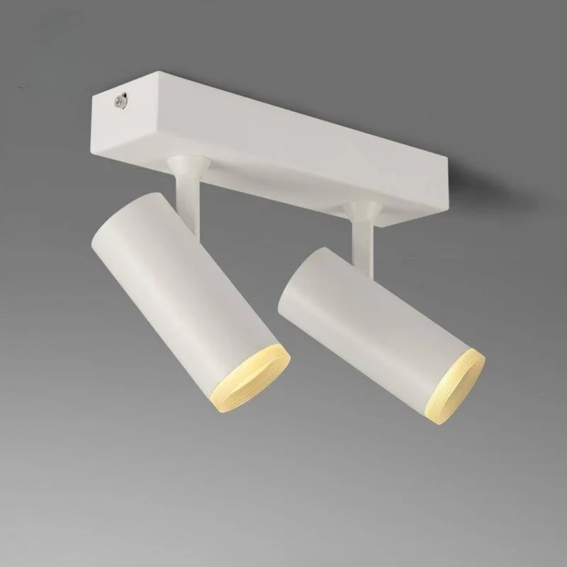 Plafonnier 2 Spots Blanc ou Noir – Orientation 360°, Tube Design