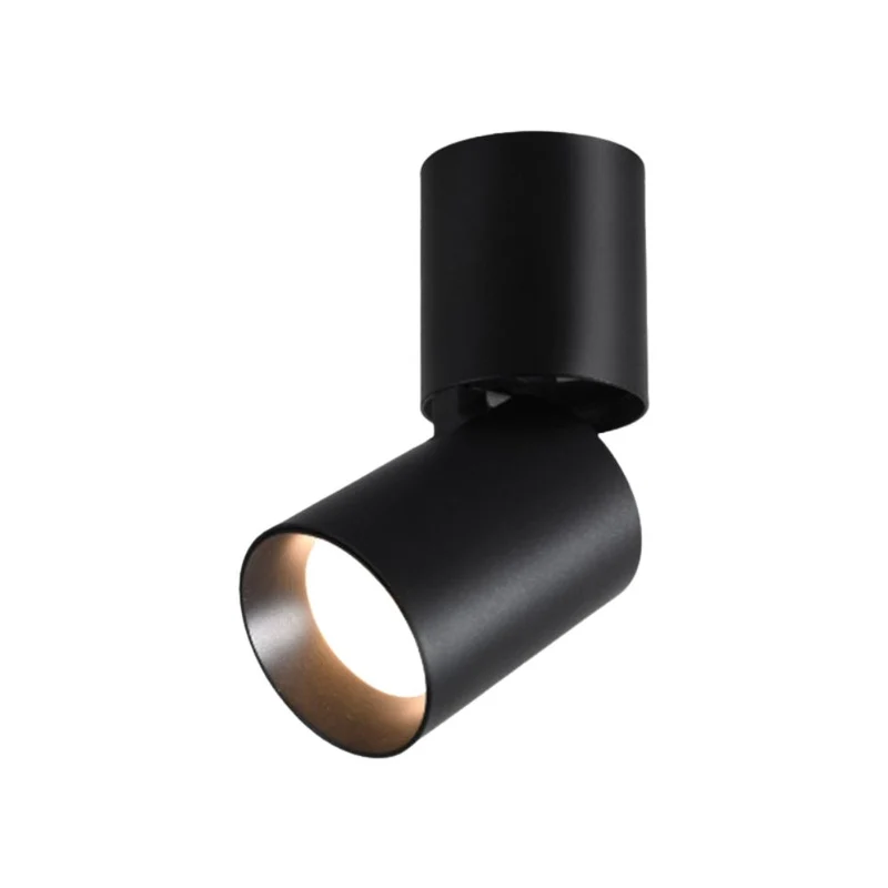 Spot Rond LED Aluminium 360° – Noir ou Blanc, Angle Personnalisable