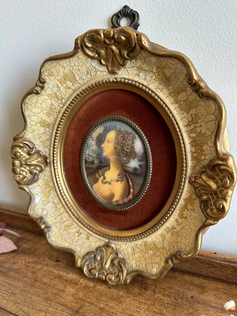 Médaillon sur velours marron glacé encadrement style baroque craquelé
