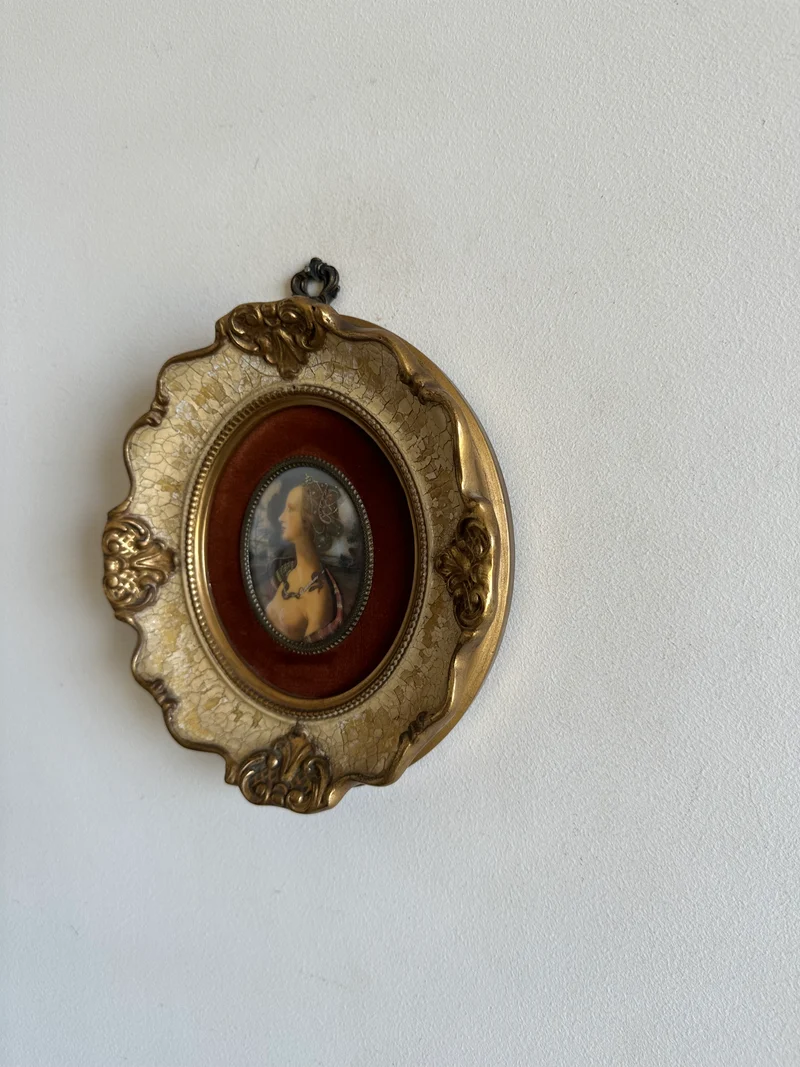 Médaillon sur velours marron glacé encadrement style baroque craquelé