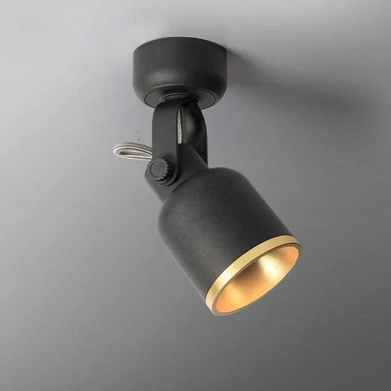 Spot Industriel Vintage Noir et Doré – Orientable 340°, Ambiance Usine
