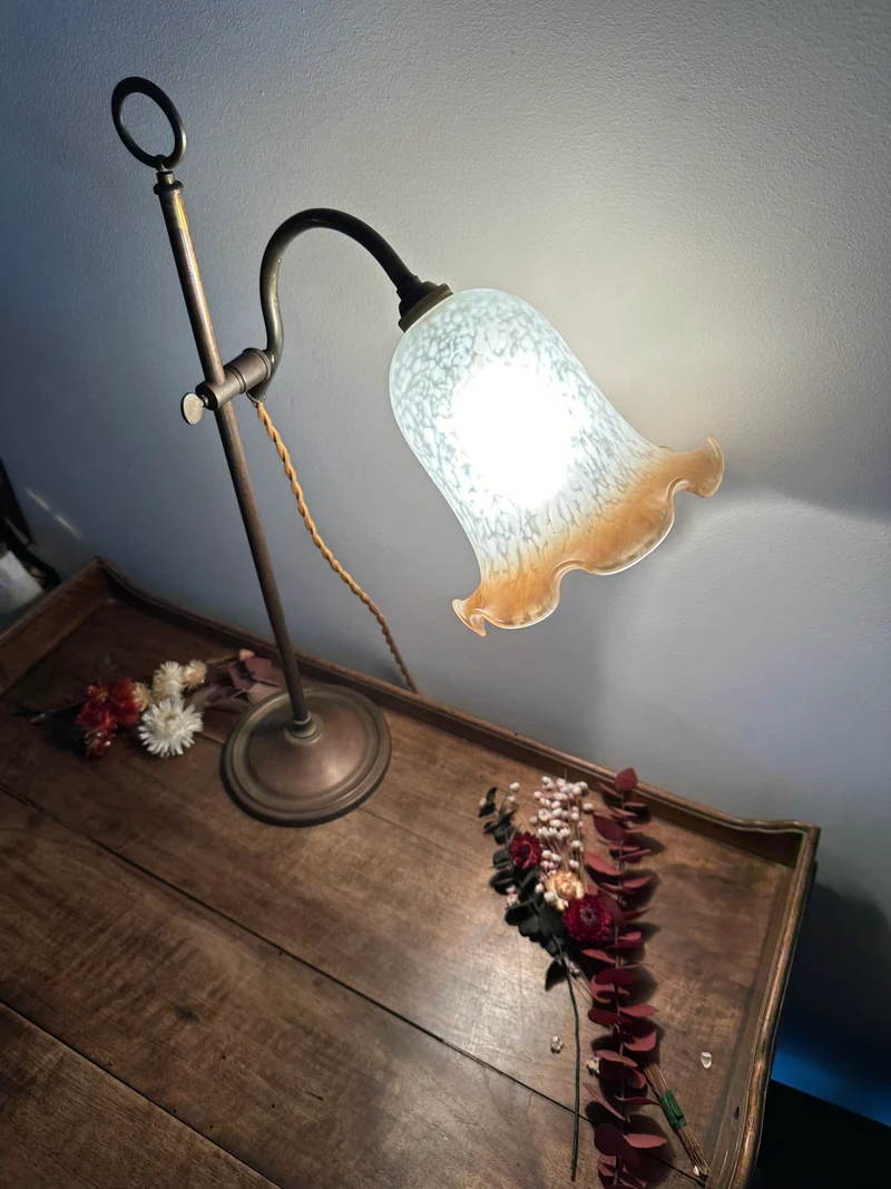 Lampe col de cygne verre tulipe soufflé structure en laiton