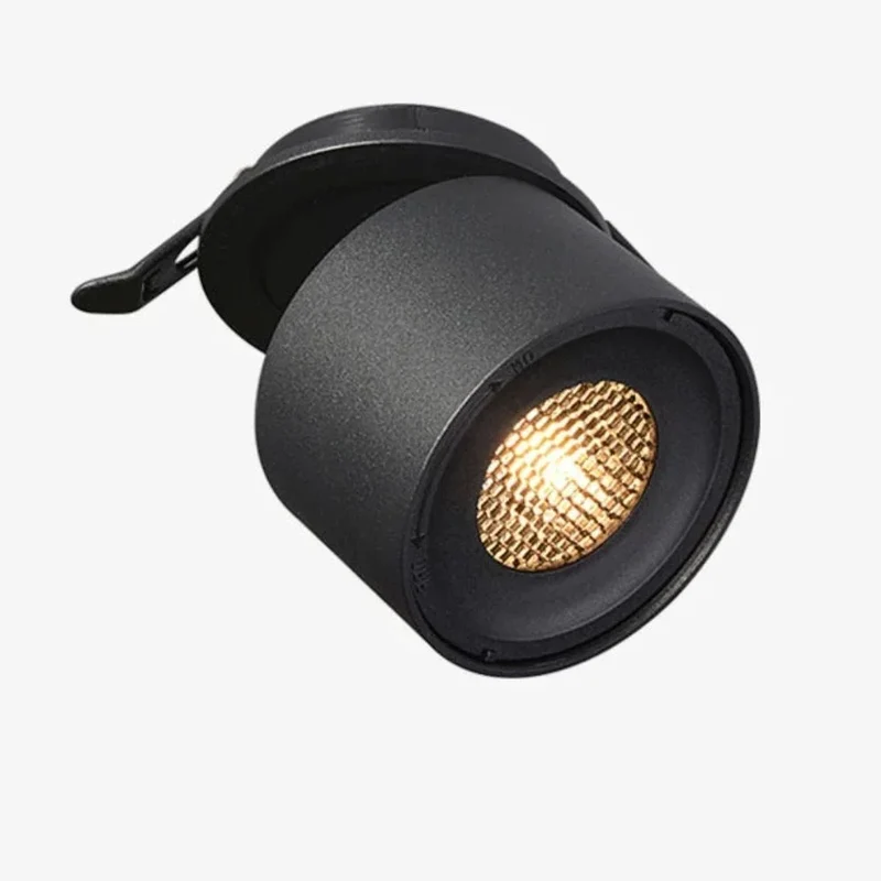 Spot COB Rotatif Démontable – Noir ou Blanc, Idéal Couloir