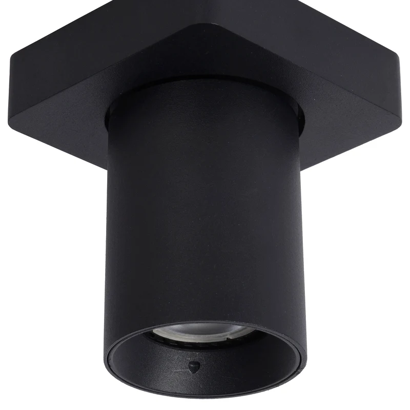 Lucide Nigel Ceiling Spotlight