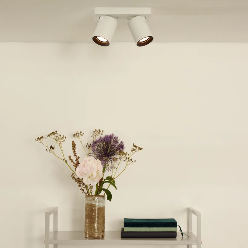 Lucide Nigel Ceiling Spotlight