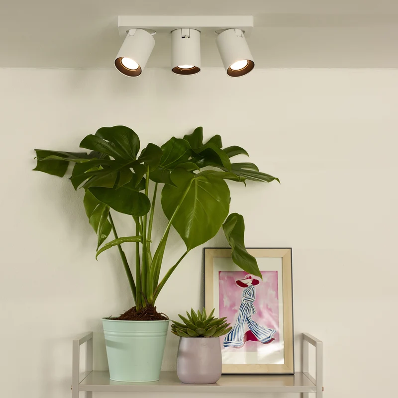 Lucide Nigel Ceiling Spotlight