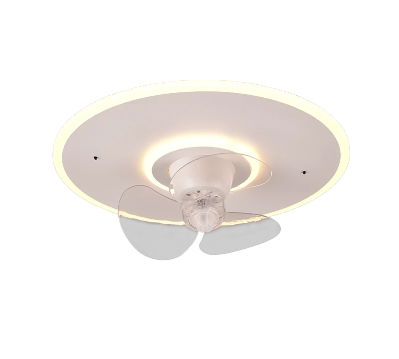 Ventilateur Plafonnier Chambre