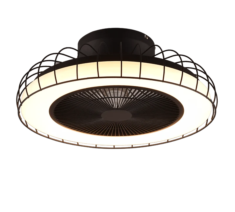 Ventilateur De Plafonnier