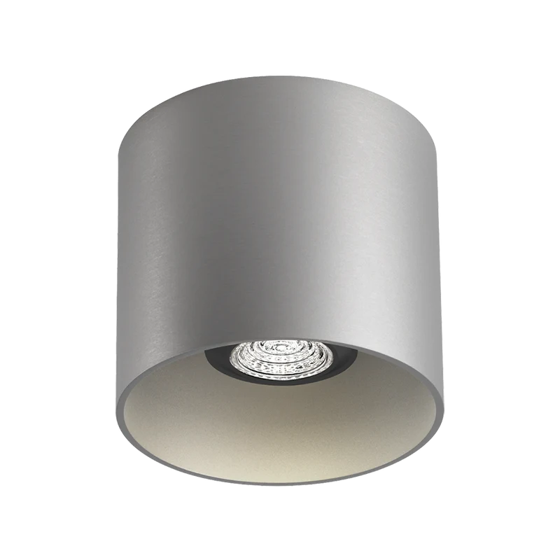 Wever & Ducré Ray PAR16 1.0 Ceiling Lamp
