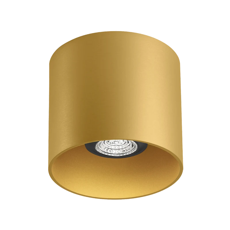 Wever & Ducré Ray PAR16 1.0 Ceiling Lamp
