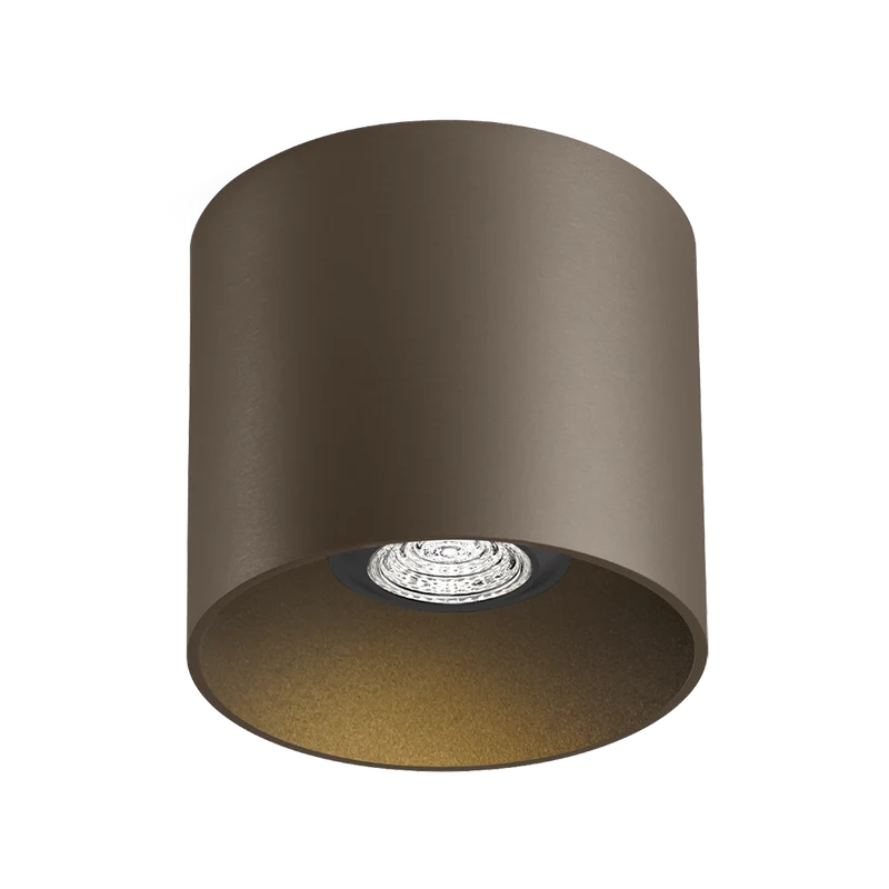 Wever & Ducré Ray PAR16 1.0 Ceiling Lamp