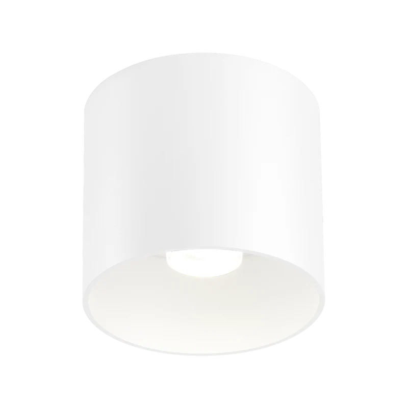 Wever & Ducré Ray LED 1.0 Ceiling Lamp