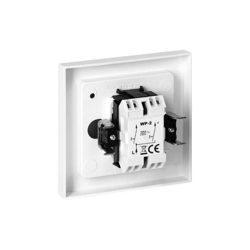 Interrupteur Double Encastré 10A 250V + Plaque de Finition Simple - Blanc
