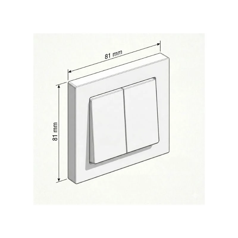 Interrupteur Double Encastré 10A 250V + Plaque de Finition Simple - Blanc