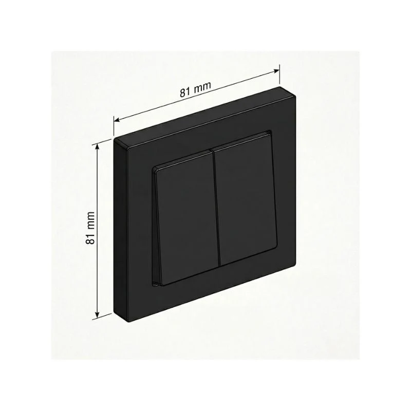 Interrupteur Double Encastré 10A 250V + Plaque de Finition Simple - Noir