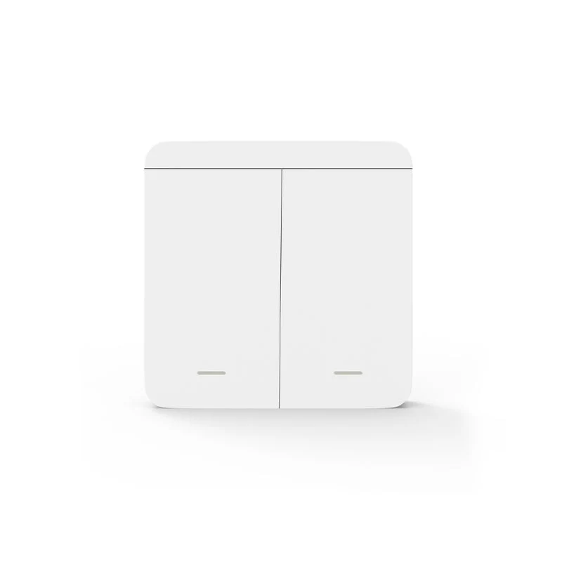 Interrupteur Mural sans Fil Bouton Double avec 2 Récepteurs 220V 10A