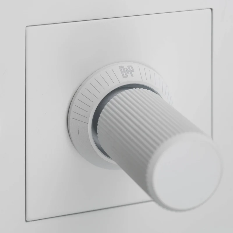 Buster + Punch Dimmer Switch 1G 250W Multipoint LED Linear