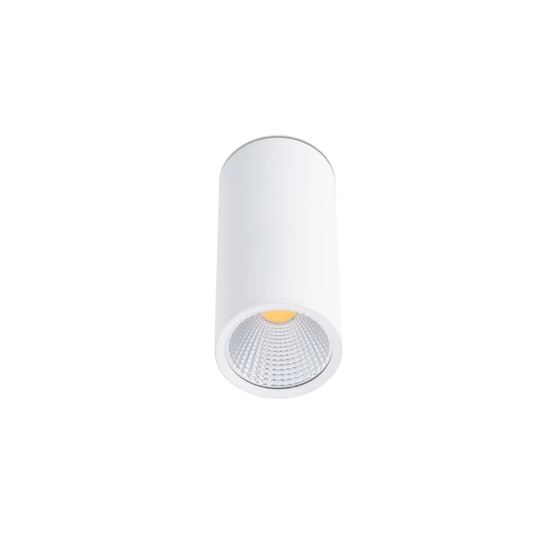 Spot LED en saillie REL blanc 15W diamètre 75 mm