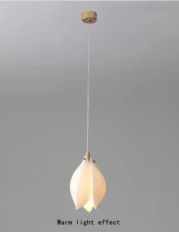 Suspension Couleur
