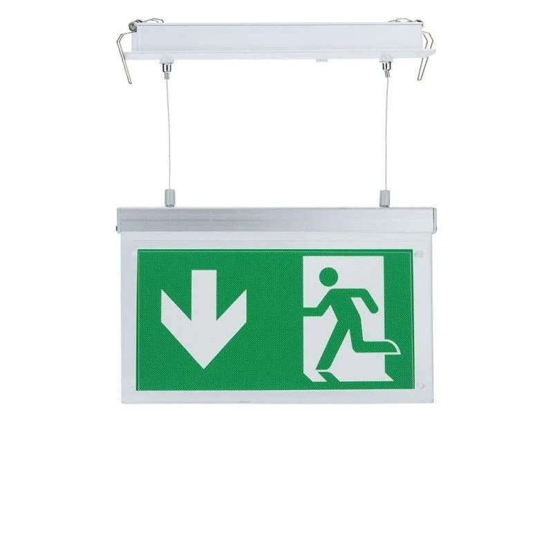Bloc de secours BAES LED Suspendu à Encastrer 2W 3h Batterie avec Pictogrammes