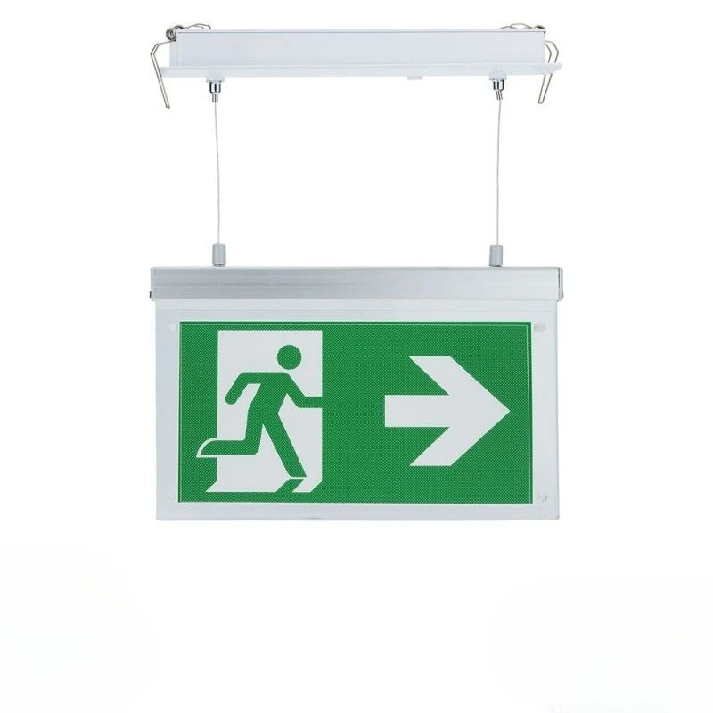 Bloc de secours BAES LED Suspendu à Encastrer 2W 3h Batterie avec Pictogrammes