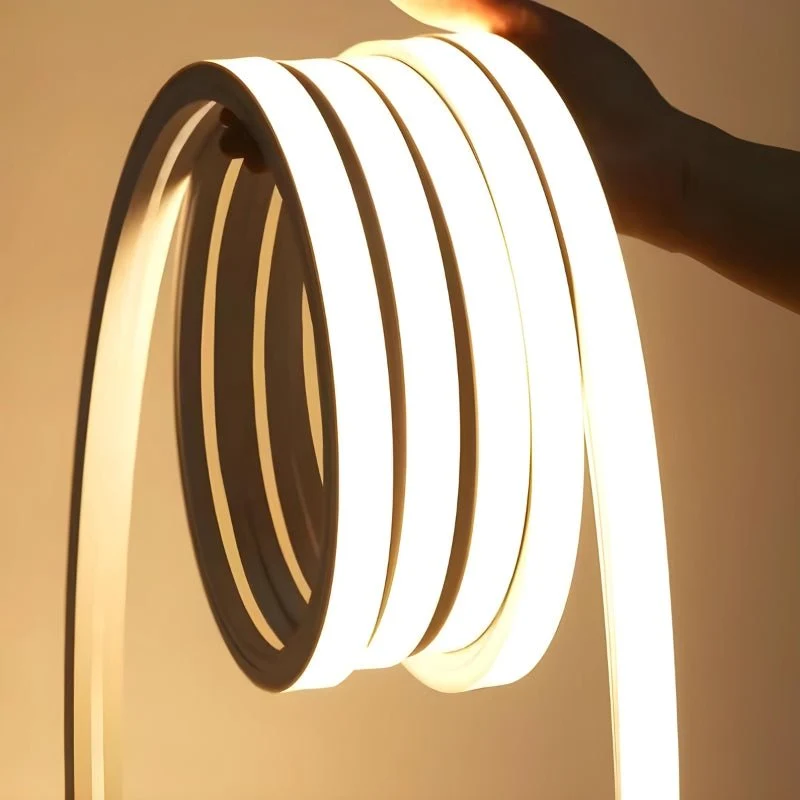 Ruban LED 50M 220V 10x10mm IP65 Finition Continue