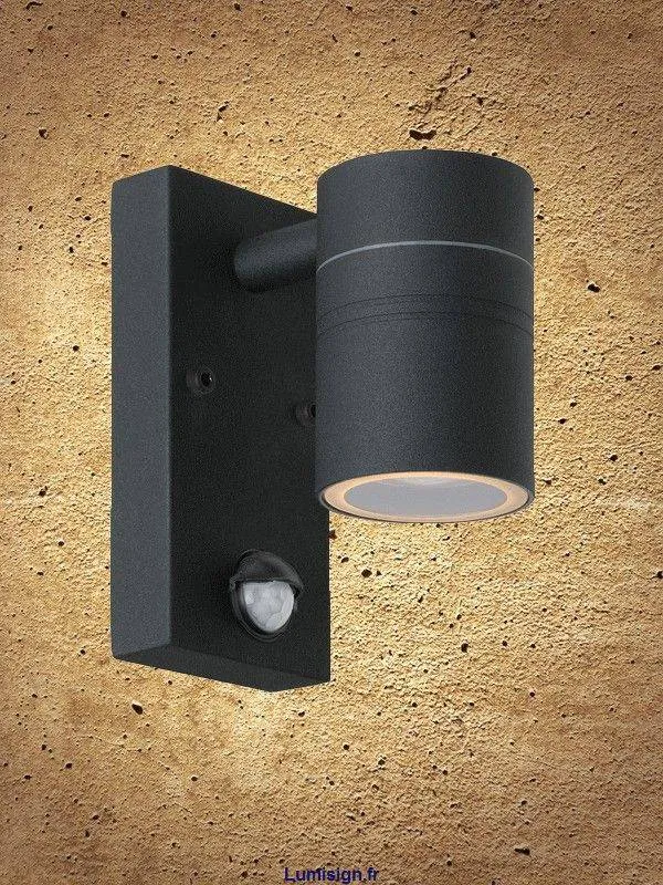 Applique extérieure LED ARNE-1D noire + détecteur