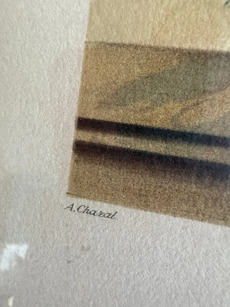 Lithographies de Antoine Chazal, par Fernand Mourlot