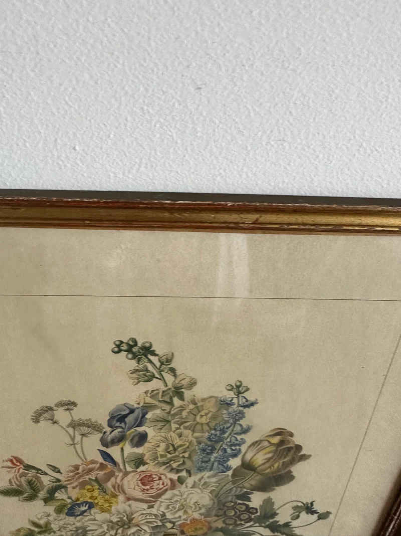Lithographies de Antoine Chazal, par Fernand Mourlot