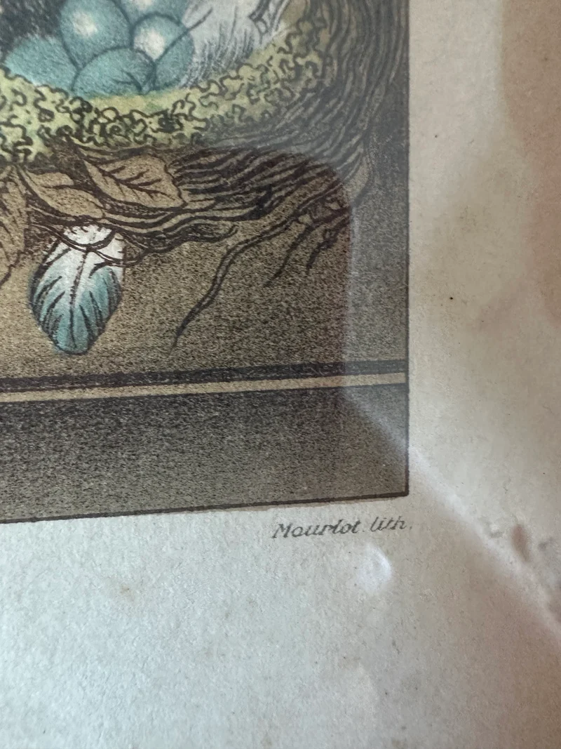 Lithographies de Antoine Chazal, par Fernand Mourlot