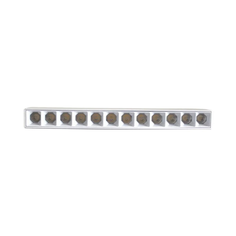 Projecteur LED sur Rail Magnétique 48V DC 12W BLANC