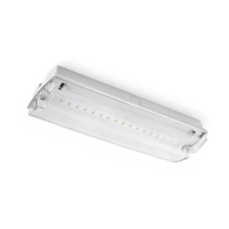Bloc de secours BAES LED Batterie 4 Pictogrammes 4W IP65