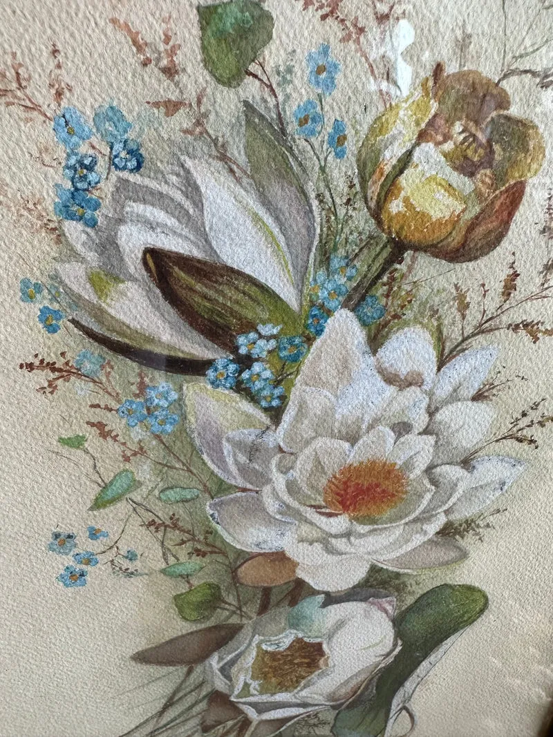Aquarelle magnolia signée encadrée années 40-50