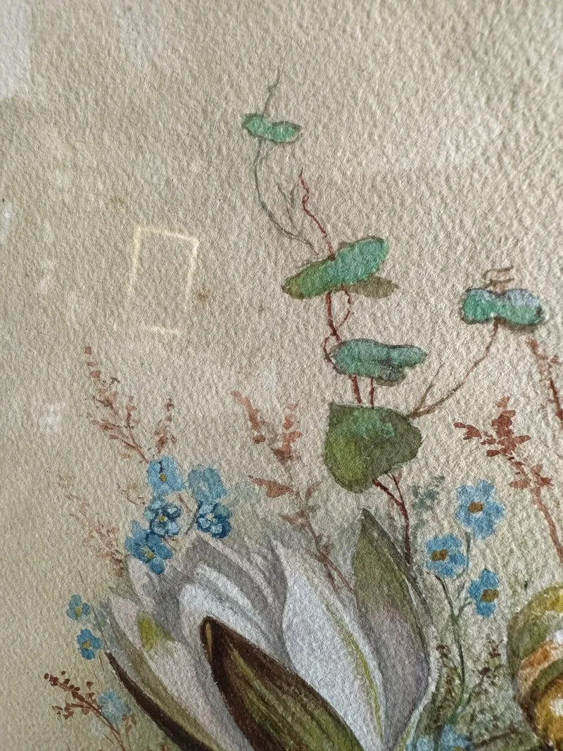 Aquarelle magnolia signée encadrée années 40-50