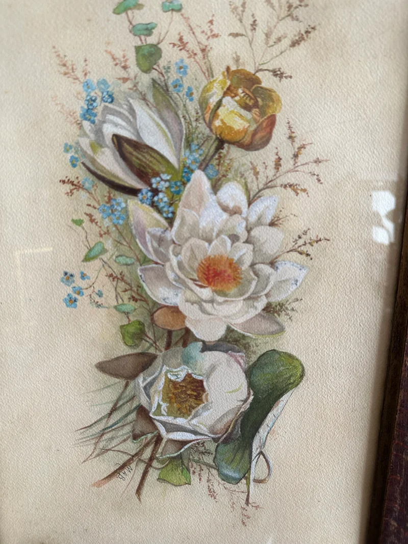 Aquarelle magnolia signée encadrée années 40-50