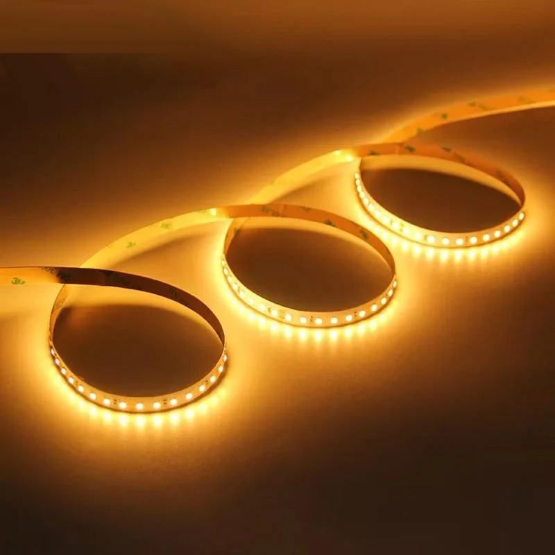 Ruban LED 5M 24V 2835 IP65 196LED/m