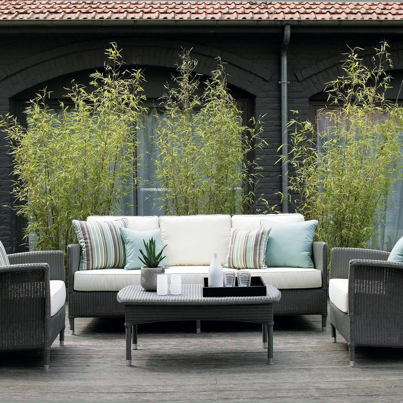 Vincent Sheppard Dovile Lounge Sofa 2S