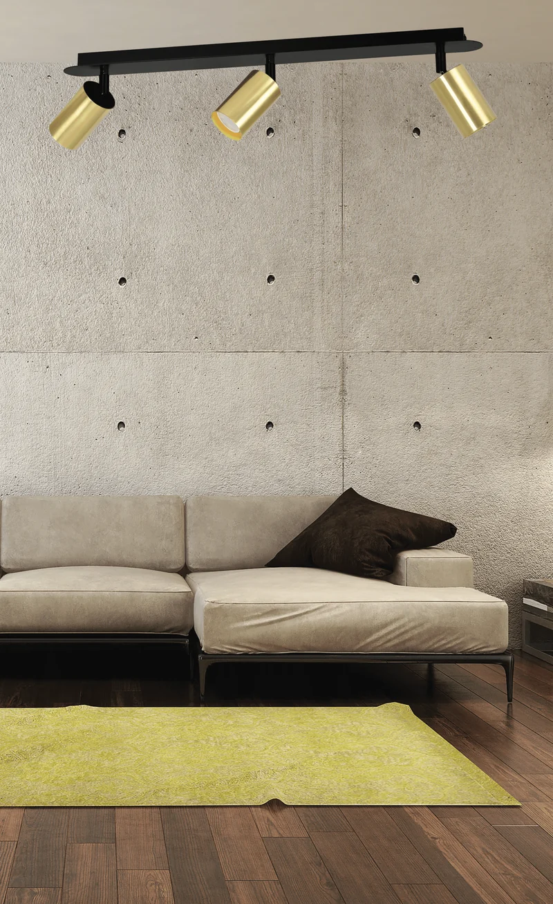 Rampe De Spot Plafond