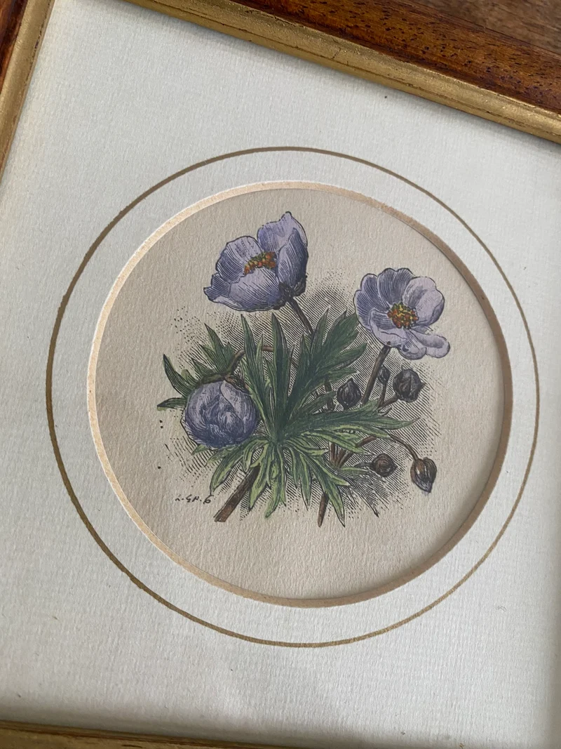 Gravure florale médaillon rond encadrement bois naturel